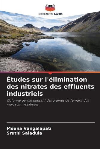 Études sur l'élimination des nitrates des effluents industriels
