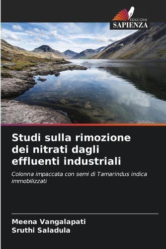 Studi sulla rimozione dei nitrati dagli effluenti industriali