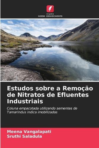 Estudos sobre a Remoção de Nitratos de Efluentes Industriais