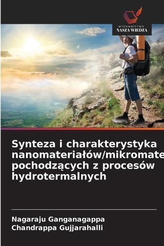 Synteza i charakterystyka nanomaterialów/mikromaterialów pochodzących z procesów hydrotermalnych