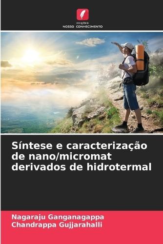 Síntese e caracterização de nano/micromat derivados de hidrotermal