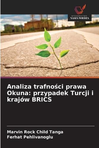 Analiza trafności prawa Okuna: przypadek Turcji i krajów BRICS