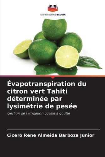 Évapotranspiration du citron vert Tahiti déterminée par lysimétrie de pesée