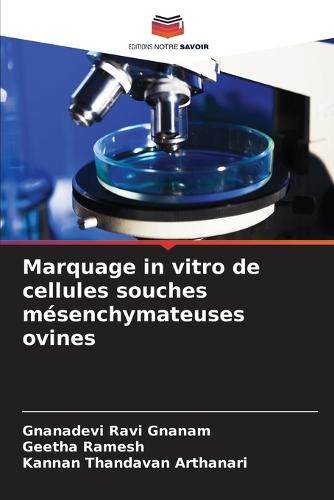 Marquage in vitro de cellules souches mésenchymateuses ovines