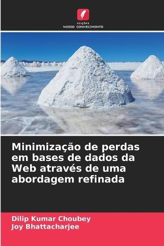 Minimização de perdas em bases de dados da Web através de uma abordagem refinada