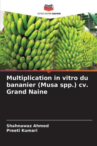 Multiplication in vitro du bananier (Musa spp.) cv. Grand Naine