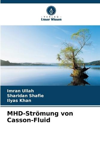 MHD-Strömung von Casson-Fluid
