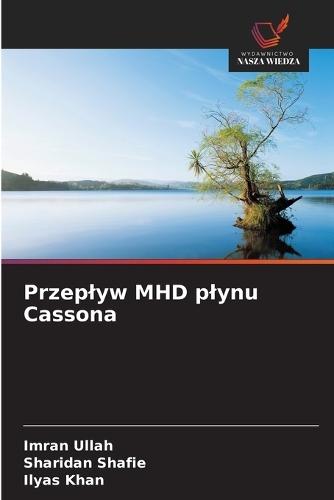 Przeplyw MHD plynu Cassona