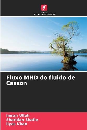 Fluxo MHD do fluido de Casson
