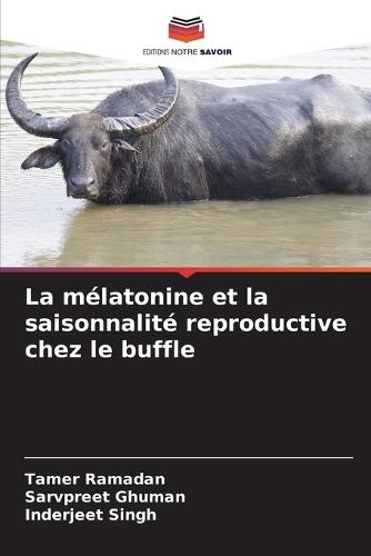 La mélatonine et la saisonnalité reproductive chez le buffle