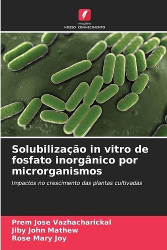 Solubilização in vitro de fosfato inorgânico por microrganismos
