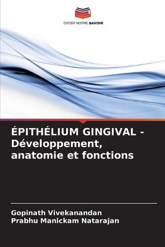 ÉPITHÉLIUM GINGIVAL - Développement, anatomie et fonctions