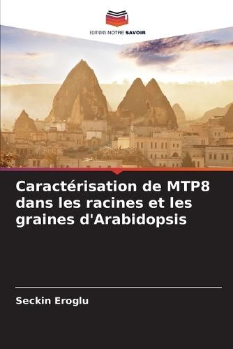 Caractérisation de MTP8 dans les racines et les graines d'Arabidopsis