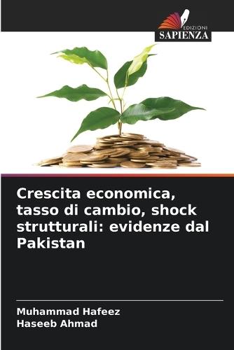 Crescita economica, tasso di cambio, shock strutturali: evidenze dal Pakistan