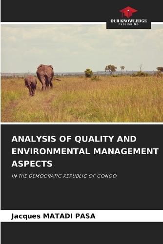 Analysis of Quality and Environmental Management Aspects