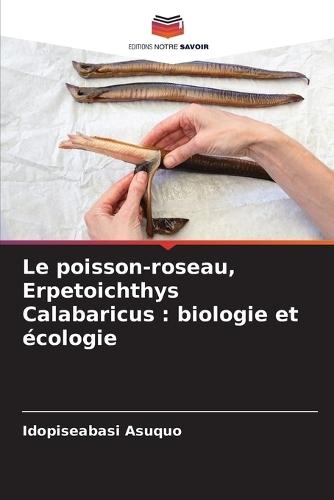 Le poisson-roseau, Erpetoichthys Calabaricus: biologie et écologie