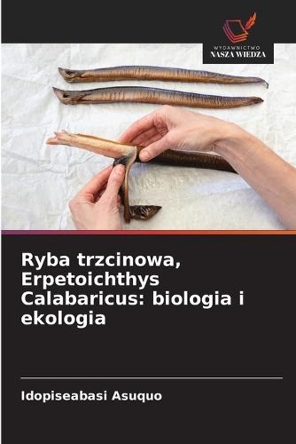 Ryba trzcinowa, Erpetoichthys Calabaricus: biologia i ekologia