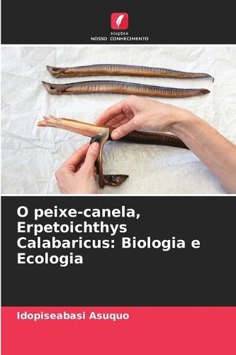 O peixe-canela, Erpetoichthys Calabaricus: Biologia e Ecologia