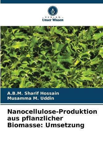 Nanocellulose-Produktion aus pflanzlicher Biomasse: Umsetzung