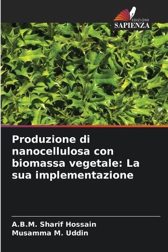Produzione di nanocellulosa con biomassa vegetale: La sua implementazione