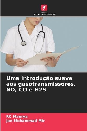Uma introdução suave aos gasotransmissores, NO, CO e H2S