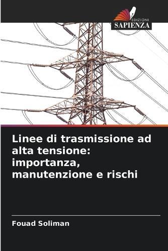Linee di trasmissione ad alta tensione: importanza, manutenzione e rischi