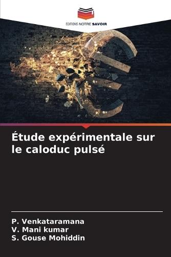 Étude expérimentale sur le caloduc pulsé