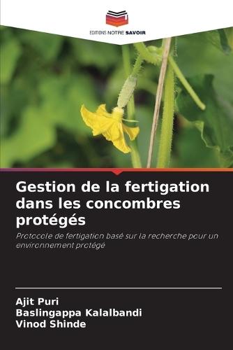 Gestion de la fertigation dans les concombres protégés