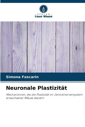 Neuronale Plastizität