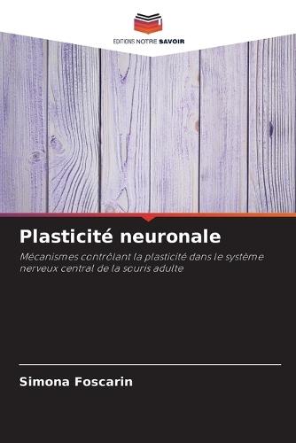 Plasticité neuronale