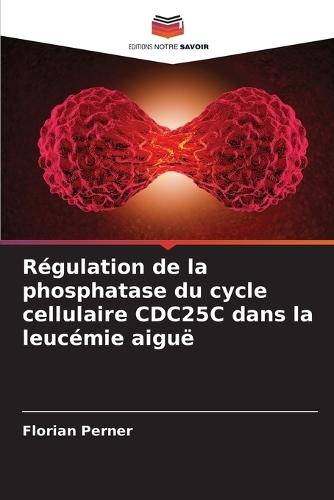 Régulation de la phosphatase du cycle cellulaire CDC25C dans la leucémie aiguë