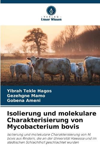 Isolierung und molekulare Charakterisierung von Mycobacterium bovis