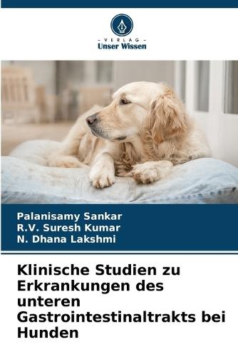 Klinische Studien zu Erkrankungen des unteren Gastrointestinaltrakts bei Hunden