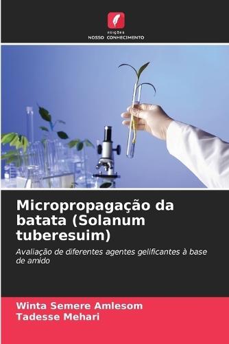 Micropropagação da batata (Solanum tuberesuim)