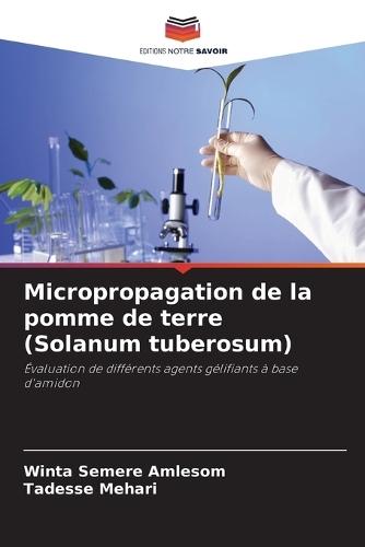 Micropropagation de la pomme de terre (Solanum tuberosum)