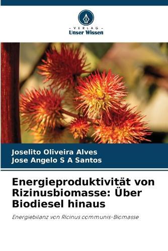 Energieproduktivität von Rizinusbiomasse: Über Biodiesel hinaus
