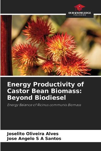 Energy Productivity of Castor Bean Biomass: Beyond Biodiesel