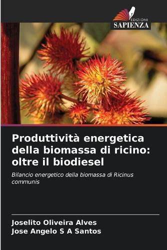 Produttività energetica della biomassa di ricino: oltre il biodiesel
