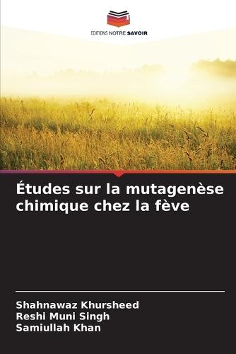 Études sur la mutagenèse chimique chez la fève