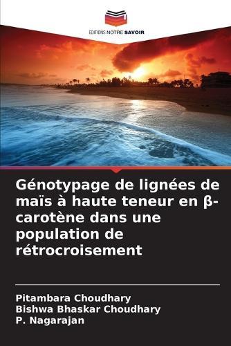 Génotypage de lignées de maïs à haute teneur en β-carotène dans une population de rétrocroisement