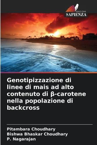 Genotipizzazione di linee di mais ad alto contenuto di β-carotene nella popolazione di backcross