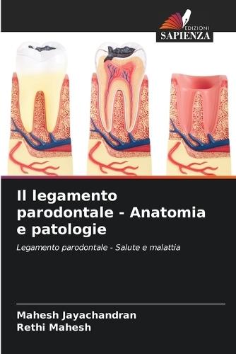 Il legamento parodontale - Anatomia e patologie