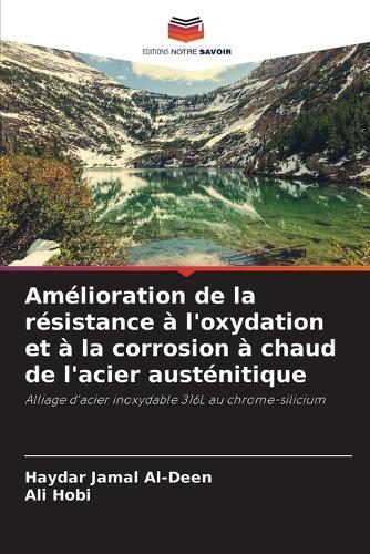 Amélioration de la résistance à l'oxydation et à la corrosion à chaud de l'acier austénitique