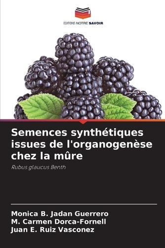 Semences synthétiques issues de l'organogenèse chez la mûre