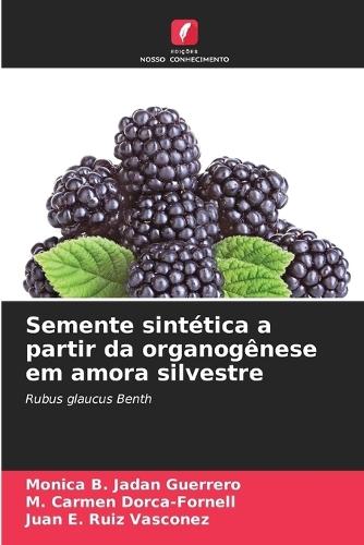 Semente sintética a partir da organogênese em amora silvestre