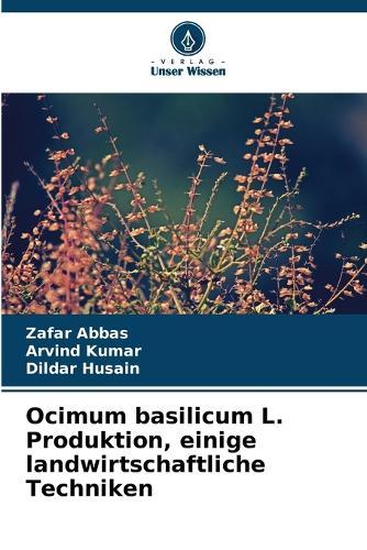 Ocimum basilicum L. Produktion, einige landwirtschaftliche Techniken