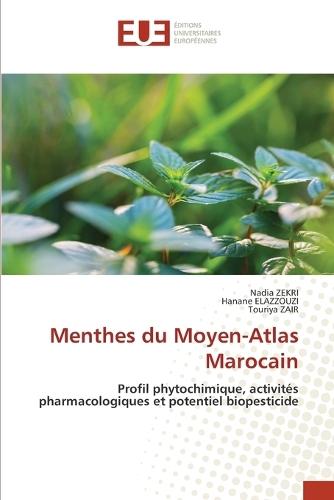 Menthes du Moyen-Atlas Marocain