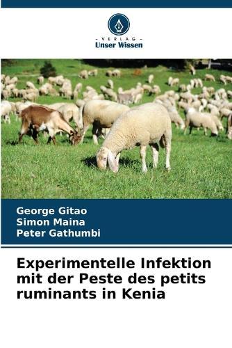 Experimentelle Infektion mit der Peste des petits ruminants in Kenia