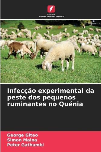 Infecção experimental da peste dos pequenos ruminantes no Quénia