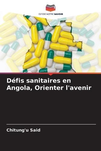 Défis sanitaires en Angola, Orienter l'avenir